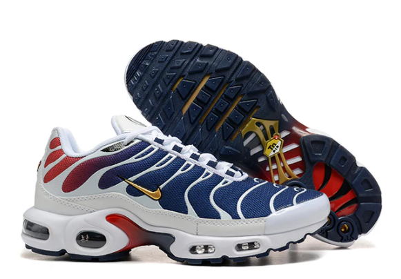 Air Max Plus Tn 1 “Psg”