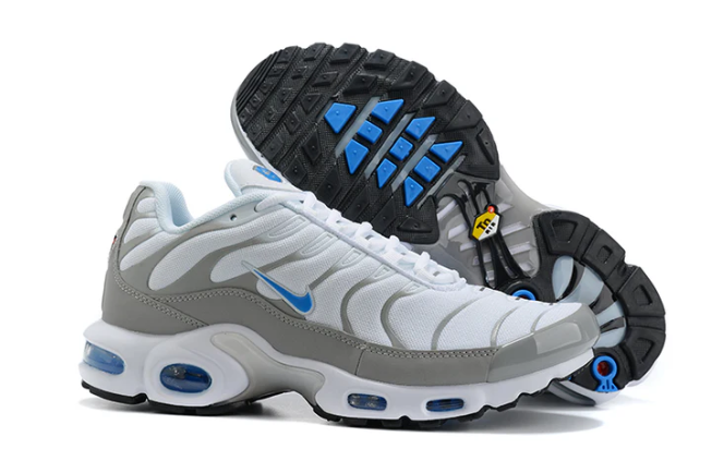 Air Max Plus Tn 1 “Ice Metalic”