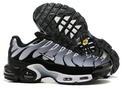 Air Max Tn 1 “Black Metalic”