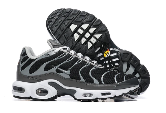 Air Max Plus Tn 1 “Black Silver”
