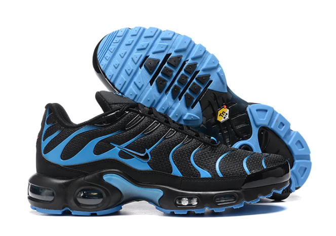 Air Max Plus Tn 1 “Black University”
