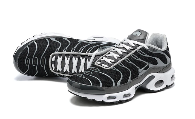 Air Max Plus Tn 1 “Black Silver”