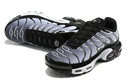Air Max Tn 1 “Black Metalic”
