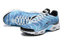 Air Max Plus Tn 1 “Photography Royal”
