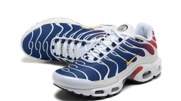Air Max Plus Tn 1 “Psg”