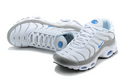 Air Max Plus Tn 1 “Ice Metalic” (Pronta Entrega)