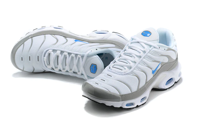 Air Max Plus Tn 1 “Ice Metalic”