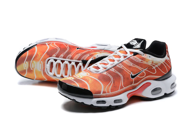 Air Max Plus Tn 1 “Light Photography”