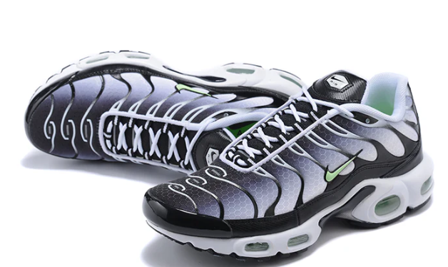 Air Max Plus Tn 1 “Seafoan”
