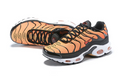 Air Max Plus Tn 1 “Tigre”