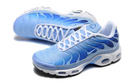 Air Max Plus Tn 1 “Royal Pulse”