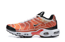 Air Max Plus Tn 1 “Light Photography”