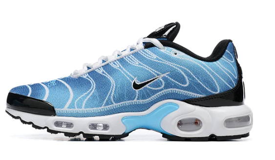 Air Max Plus Tn 1 “Photography Royal”