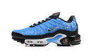 Air Max Plus Tn 1 “Napoli”
