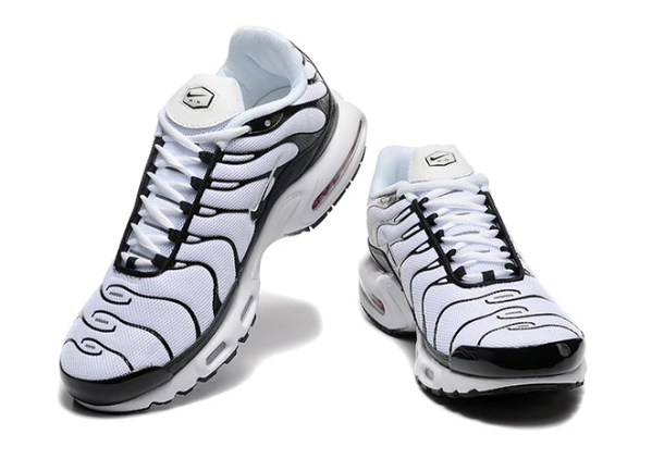 Air Max Plus Tn 1 “Panda”