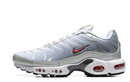 Air Max Plus Tn 1 “Puro Sangue”