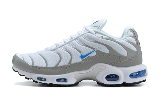 Air Max Plus Tn 1 “Ice Metalic”