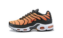 Air Max Plus Tn 1 “Tigre”