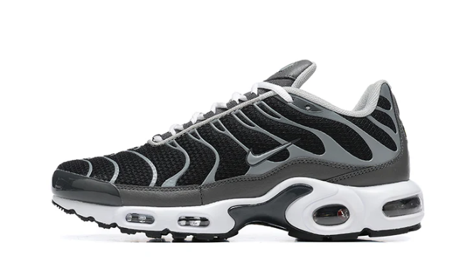 Air Max Plus Tn 1 “Black Silver”
