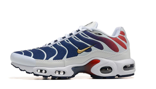 Air Max Plus Tn 1 “Psg”