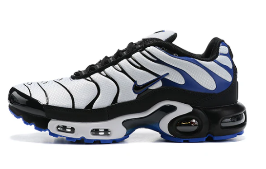 Air Max Plus Tn 1 “Persian Violet”