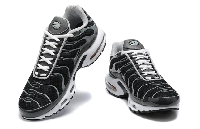 Air Max Plus Tn 1 “Black Silver”