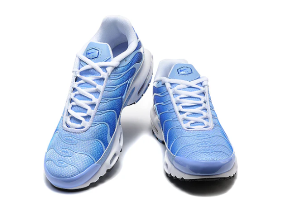 Air Max Plus Tn 1 “Royal Pulse”