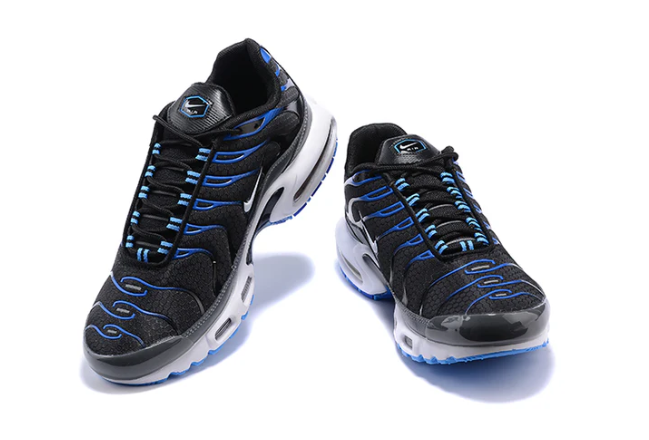 Air Max Plus Tn 1 “Black Royal”