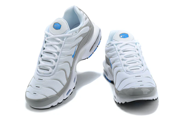 Air Max Plus Tn 1 “Ice Metalic”