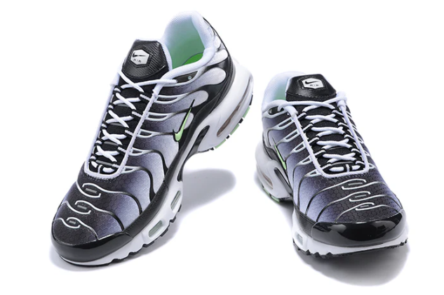 Air Max Plus Tn 1 “Seafoan”