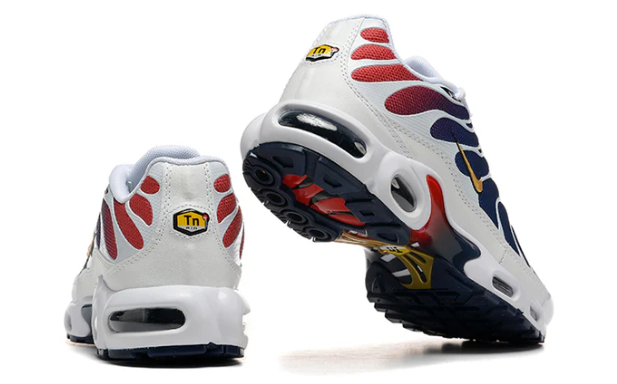 Air Max Plus Tn 1 “Psg”