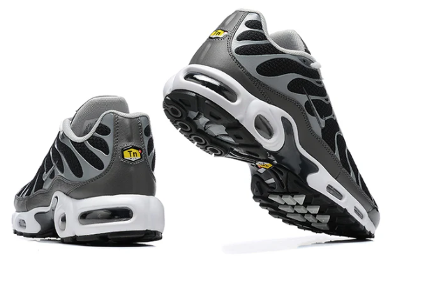 Air Max Plus Tn 1 “Black Silver”