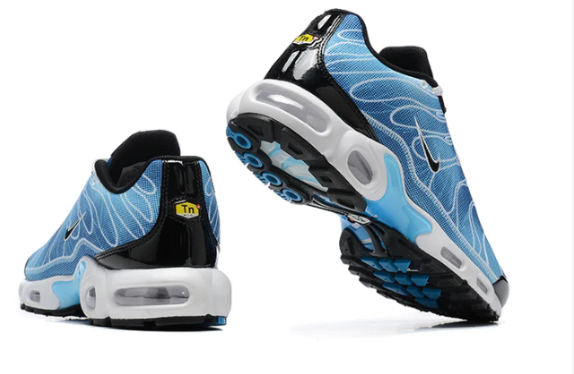 Air Max Plus Tn 1 “Photography Royal”