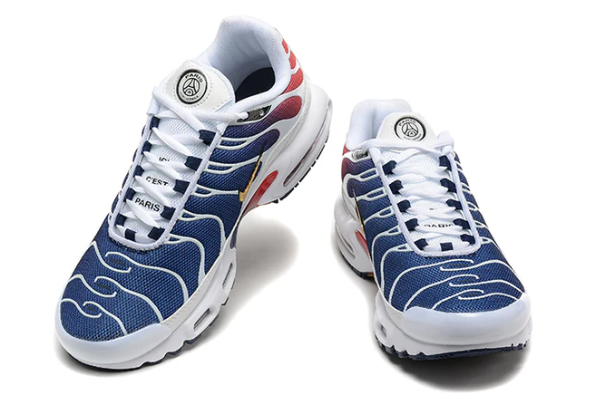 Air Max Plus Tn 1 “Psg”