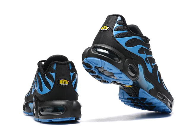 Air Max Plus Tn 1 “Black University”