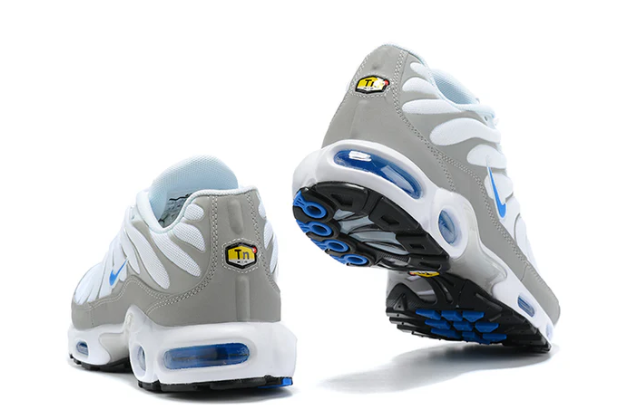 Air Max Plus Tn 1 “Ice Metalic”