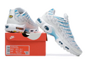 Air Max Plus Tn 1 “Marseille”