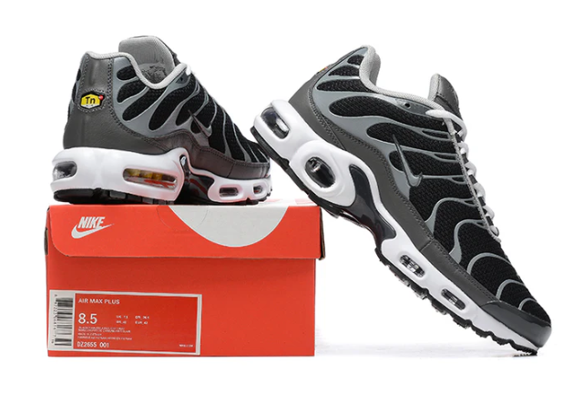 Air Max Plus Tn 1 “Black Silver”