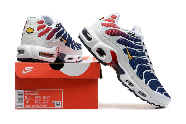 Air Max Plus Tn 1 “Psg”