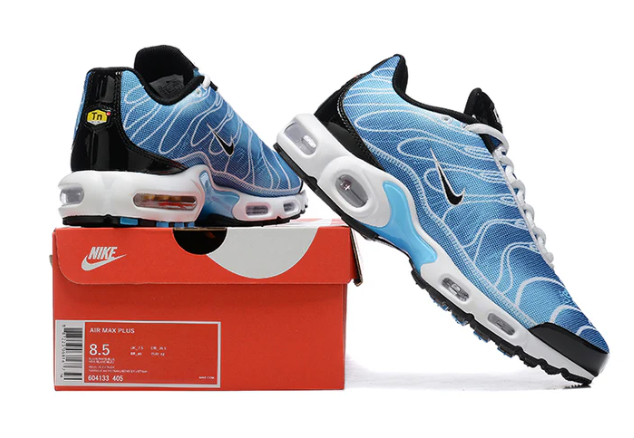 Air Max Plus Tn 1 “Photography Royal”