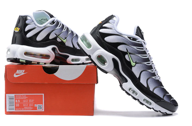 Air Max Plus Tn 1 “Seafoan”